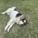 이후북스테이 이미지