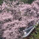 밀양향교 이미지