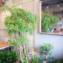 에슬로우 - 아산시 고속철대로 157 | 에슬로우