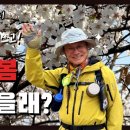 진안고원길 홍보영상 by 진안군귀농귀촌종합지원센터 이미지