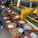 순복대하 이미지