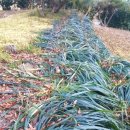 여명한의원 이미지