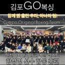 A복싱 | 운양동 복싱 추천! 고복싱(GO복싱)의 인기 비결은?