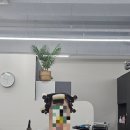 화성 새솔동 미용실 단발 c컬펌 볼륨펌 살롱드선율 새솔동점