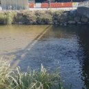 영동1교 북측 이미지