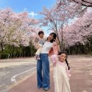 인천남동사업소 | 2026 인천대공원 벚꽃축제, 날짜 잘못 잡으면 꽃 없어요 | 개화시기·주차·일정 직접 정리