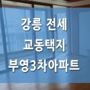 강릉부영 공인중개사사무소 이미지