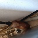 전주남이4길 이미지