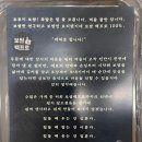 보쌈백프로 이미지