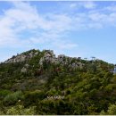 산과바다 이미지