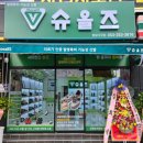 슈올즈팔달