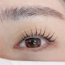 활짝핀 속눈썹 이미지