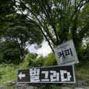 영월펜션추천 별이 잘보이는 별그리다펜션 내돈내산후기(+계곡, 불멍, 바베큐)