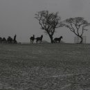 대원2목장 이미지