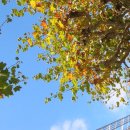 홍제한의원 이미지