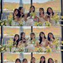 요니의 직딩일기 #119 결혼식 3일 전, 지난 1년을 돌아보며 👰🏻‍♀️