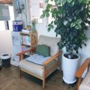 블루밍카서비스 이미지