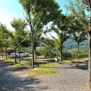 파인힐 빌리지 캠핑장 이미지