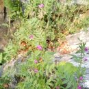 당하1호공원 이미지