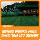 애견운동공원(하절기) 이미지