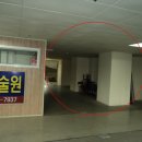 연제구-101 네이버블로그