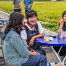 대야2로 이미지