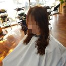 신미용실 이미지