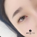 아틱폭스 | 인천속눈썹 청라에서 만난 아틱폭스 속눈썹 전문 경험기
