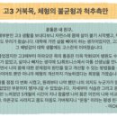 아톰 퍼스널 트레이닝 | [하양헬스] 퍼스널 트레이닝 효과가 궁금하다면? 다이어트 피티 후기 , 비포에프터 Before - After