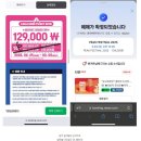 피크 페스티벌 2025 후기