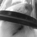 산호동물병원 이미지