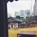 나지막한 담벼락에서, 낯선 하룻밤
