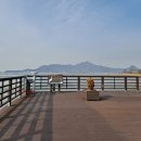 선두5리항 이미지