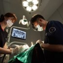 이상화치과의원 이미지