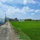 용면사무소 이미지