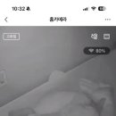 동우서적