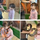 후석로 | 춘천 실내동물원 플레이정글 춘천엔타점 춘천 키즈카페 후기