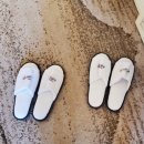 국내 여행사 보명투어 하이원CC 1박2일 골프 패키지 후기! 골프 부부조인 추천 이유