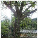 용방초교 이미지