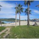 제주부동산공인중개사사무소 이미지