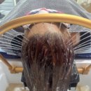 헤어 봄 이미지