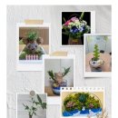 박촌중앙경로당 이미지