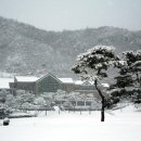 여주-0474 이미지