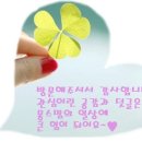 이원손짜장
