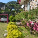 가평박달골독채펜션 | 가평 독채펜션으로 떠난 대가족 힐링 여행 후기