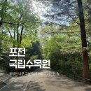 카페509-1 | 포천 국립수목원 광릉숲 방문 후기 육림호 카페 코스 추천
