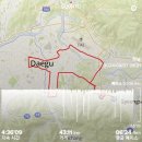 2024 대구마라톤 207번째