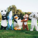 K-매직 페스타 이미지