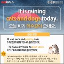 이아이이고려대학교국제어학원 네이버블로그