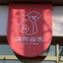 살랑살랑 반려견미용실 이미지